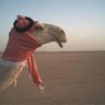 motaleq profil fotoğrafı