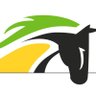 caballos la vera's profile picture