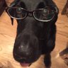 Heather Hoffman's profile picture