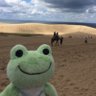 かえるしゃん profil fotoğrafı
