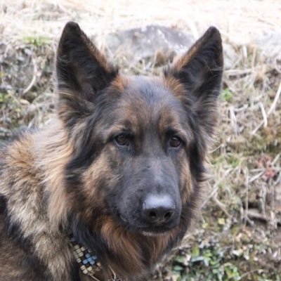 PARTNER's profile picture