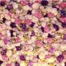 Фото профиля Reem