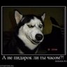Иван иванов profil fotoğrafı
