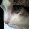 Profilbild von 中島敦真