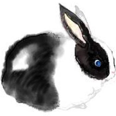 mami_tanaka's profile picture