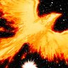Jeanphoenix profil fotoğrafı