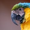 Eddy Charles profil fotoğrafı