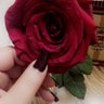 Фото профиля ❤️عطر الغلا والشوق♥️