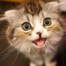 Profilbild von samutama5656