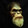 Noah Wayman's profile picture