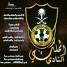 👑أسد القلعة👑 的头像