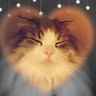 ☆majuju☆ profil fotoğrafı