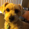 James lipson's profile picture