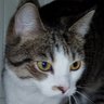 Profilbild von Blondie1950