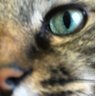 弥伽 profil fotoğrafı