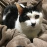 のんのん's profile picture