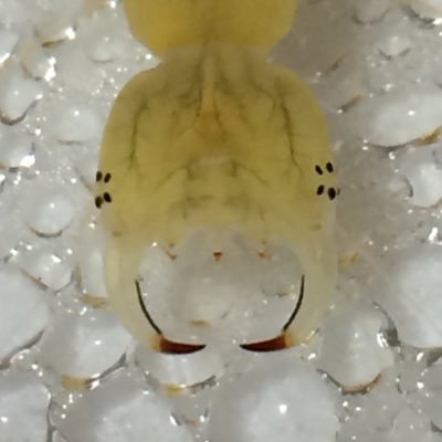 gk1_8's profile picture