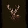 Luke Zhang's profile picture