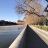 steven wong profil fotoğrafı