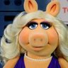 Rosa Schmitz's profile picture