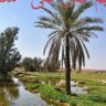 ملاقي خير 的头像