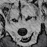 Profilbild von tanu46