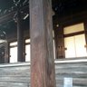 Фото профиля 耳かきうさぎ🙏