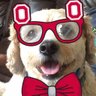 Profilbild von MaryAV
