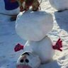 Snowman's profile picture