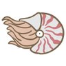寒鰤屋's profile picture