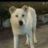 Margherita's profile picture