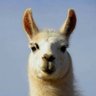 RalphTheWonderLlama profil fotoğrafı