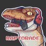 Profilbild von Raptorade