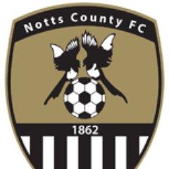 NCFC Academy's profile picture
