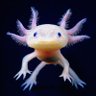 Profilbild von PikAxolotl