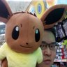 Profilbild von 林聖偉