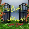abo ali hussein 的头像