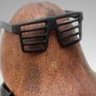 HoTrueMan's profile picture