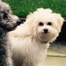 Emma J Davies profil fotoğrafı