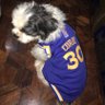 DubNation Citizen profil fotoğrafı