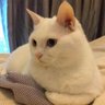 ZhuNiMo 的头像