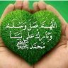 Amany's profile picture
