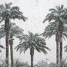 Profilbild von Arecaceae