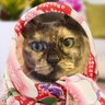 candy o's profile picture
