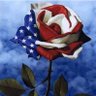 PJ 🇺🇸's profile picture