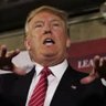 Trump Gato 的头像