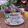 نور الهدى 的头像