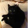 Naka-z profil fotoğrafı