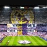 GUSTAVO ECHEVERRIA's profile picture