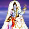 Amiy Dixit - भारत मेरा परिवार 的头像